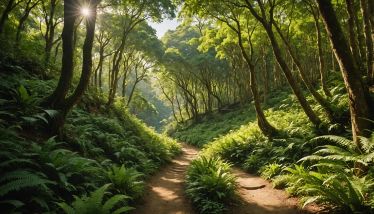 Meilleures destinations pour voyager