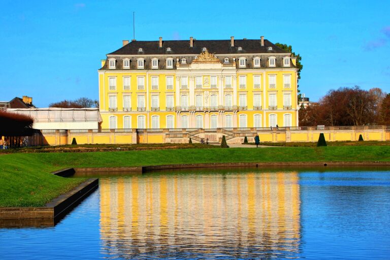 chateau a vendre lyon